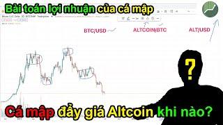 Công thức đẩy giá Altcoin của CÁ MẬP trong thị trường Crypto | ALden Nguyen