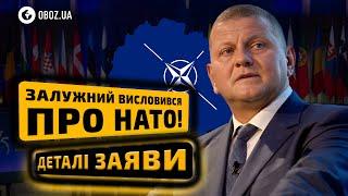  Гучна ЗАЯВА ЗАЛУЖНОГО про НАТО! Посол жорстоко РОЗКРИТИКУВАВ АЛЬЯНС! Деталі  | OBOZ.UA