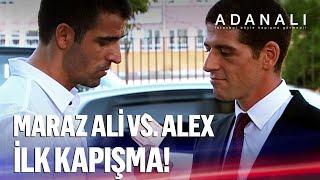 Maraz Ali vs. Alex - İlk kapışma | Adanalı Kolaj