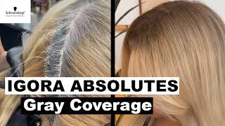 Gray Coverage Hair Dye Tutorial Using IGORA ABSOLUTES | Schwarzkopf Professional USA