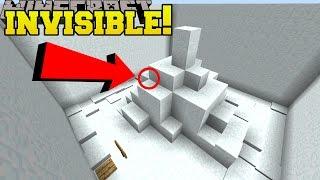 Minecraft: INVISIBLE ENTRANCE!!! - Find The Button Dimensions - Custom Map