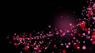 Romantic flying red rose flower petals love heart wedding animated background Hd