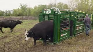 Arrowquip's 7400 Series Squeeze Chute-A Great Way To Upgrade Your Cattle Handling