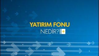 Yatırım Fonu Nedir?