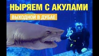 ГИГАНТСКИЙ АКВАРИУМ ДУБАЙ МОЛЛ: Погружение с акулами! Плаваем в самом большом аквариуме в мире Дубай