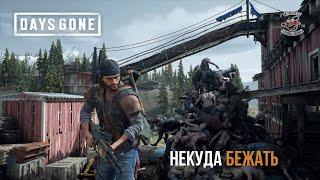 DAYS GONE Орда у старой лесопилки - Некуда бежать