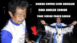 Warna Umpan Cumi Andalan || Yang Sering Panen Babon @Angler Cumi