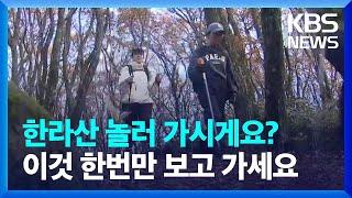 한라산에 단풍 구경 가시나요? 등산 전 이것만 주의하세요 / KBS  2024.11.18.