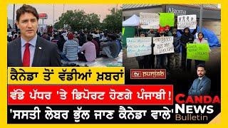 Canada Punjabi News Bulletin | November 15, 2024  | TV Punjab