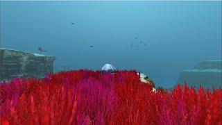 Where to find Life Pod 6 Subnautica