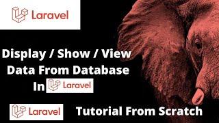 Display / Show / View Data From Database in Laravel | Laravel Tutorial For Beginners