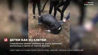 Следователи начали проверку по факту избиения школьницы в одном из парков Москвы
