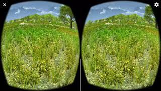 VR Relaxing Meadow