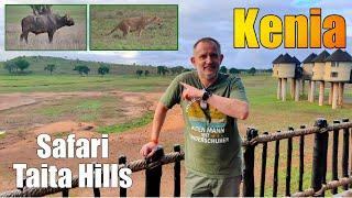 Safari-Abenteuer: Taita Hills & Salt Lick Lodge, Kenia