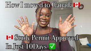 MY STUDY PERMIT WAS APPROVED IN JUST 10DAYS!! How I Moved To Canada As An International Student//DIY