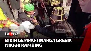 Heboh Pernikahan Tidak Lazim Terjadi di Gresik | Kabar Siang tvOne