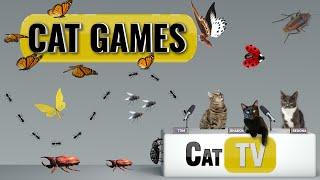 CAT Games | Ultimate Cat TV Bugs and Butterflies Compilation Vol 4 🪲  | Videos For Cats to Watch