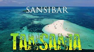 Paradiesisch reisen in SANSIBAR | TANSANIA 2021 #5