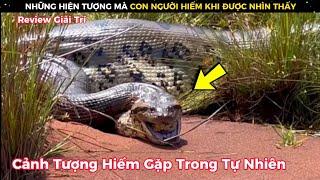 Những Hiện Tượng Cực Kì Hiếp Gặp Trong Tự Nhiên Không Phải Ai Cũng Biết || Review Giải Trí Đời Sống