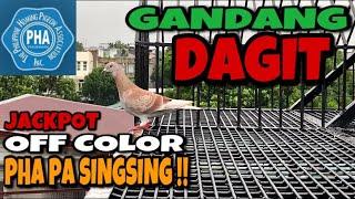 NAKA DAGIT AKO NG KALAPATI - OFF COLOR PHA PA SINGSING!!