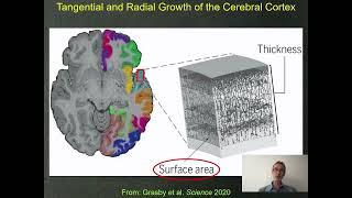 OHBM 2024 | Symposium | Tomas Paus |  Common Neurobiology Underlying Structural Properties of the …