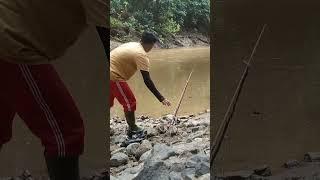 mancing ikan baung di sungai Kalimantan timur