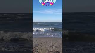 25.12.24.Балтийское море#Куршская коса# День +4°