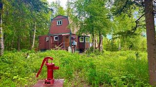 SOLD: Stunning Homestead Cabin in Alaska! Mountain views, lake access and more!