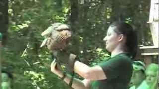 Carolina Raptor Center in Huntersville