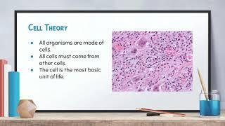 Biology: Video 3-1: Introduction to Cells