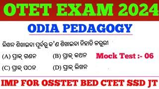 Target OTET Exam 2024 !! Odia Pedagogy MCQs !! OSSTET CTET SSD TGT JT Exam !! cine tv odisha !!