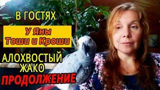 ПОПУГАИ ЖАКО | В ГОСТЯХ У ЯНЫ С ТОШЕЙ И КРОШЕЙ | ЧАСТЬ 2