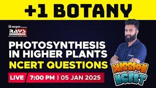 BOTANY - PHOTOSYNTHESIS IN HIGHER PLANTS + NCERT QUESTIONS | PLUS ONE BOTANY LIVE | RAYS EDUCATION