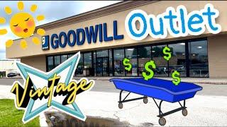 THRIFT WITH ME at the Goodwill Bins | Short Day But Found Some Cool Treasures
