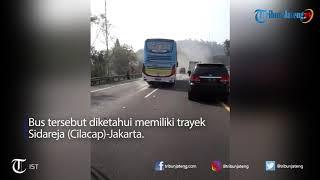 Bus BEST Sidareja Vs Truk Trailer Semen di Tol Cipularang