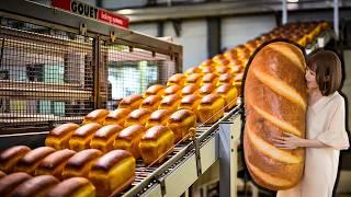 How Bread is Made in a Factory | How to Produce