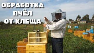 ОБРАБОТКА ПЧЁЛ ОТ КЛЕЩА