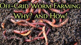 How to/ DIY easy off-grid worm farming.