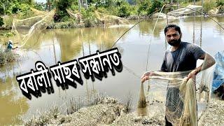 বৰালী মাছৰ সন্ধানত !  Fish Hunting  new assamese vlog