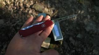 Victorinox Cheese knife