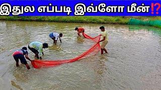 Amazing Fishing method in forming field | Fishing| Fish Catching| Jawadhu Dot Com