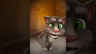 Eu e o Talking Tom fizemos um vídeo incrível juntos! Você pode fazer seus próprios vídeos super lega