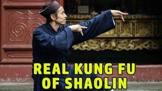 Wu Tang Collection - Real Kung Fu of Shaolin