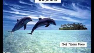 Dolphino - Set Them Free