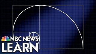 The Golden Ratio: Divine Proportion From Math and Nature