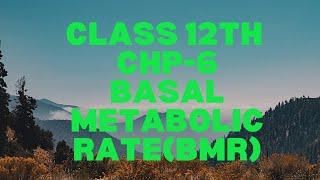 Class 12th Basal Metabolic Rate (BMR) - Meaning & How To Calculate BMR.