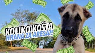 OKOLOKUĆNI POSLOVI #47 - KOLIKO NAS MJESEČNO KOŠTA TURSKI KANGAL?! *mnogo brzo raste*