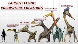 10 Largest Flying Prehistoric Animals