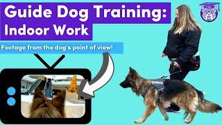 Guide Dog Skills Explained: Indoor Work at the Mall from GoPro Service Dog View!