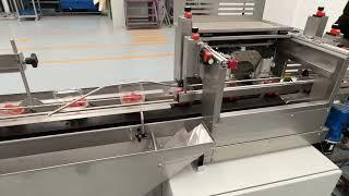 PacMatix Pty Ltd - Induser punnet filling line - Cherry tomatoes